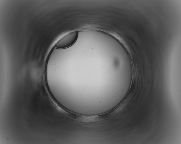 X0000086311486200704131620