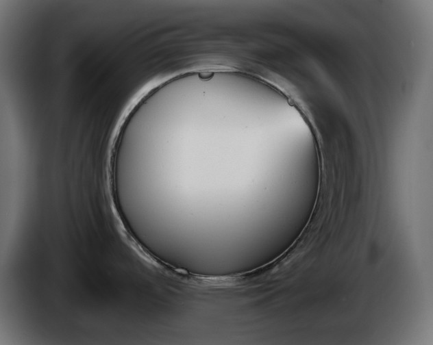 X0000086311488200704131620