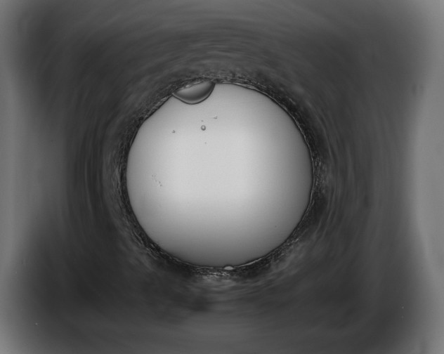 X0000086311489200704131619