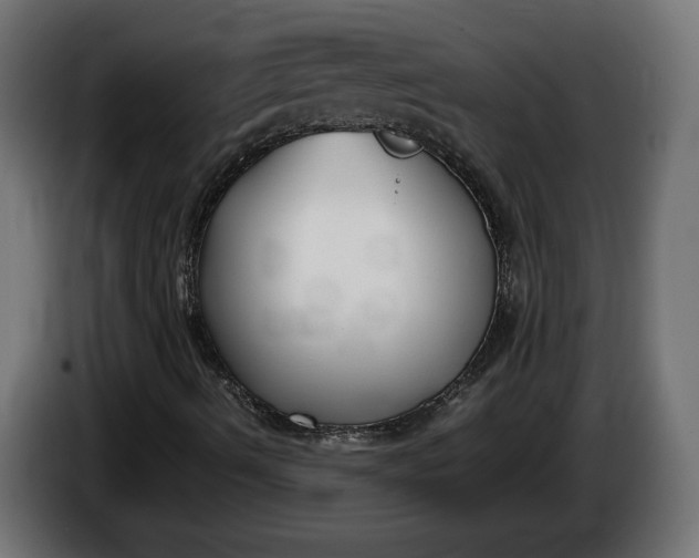 X0000086311490200704131620
