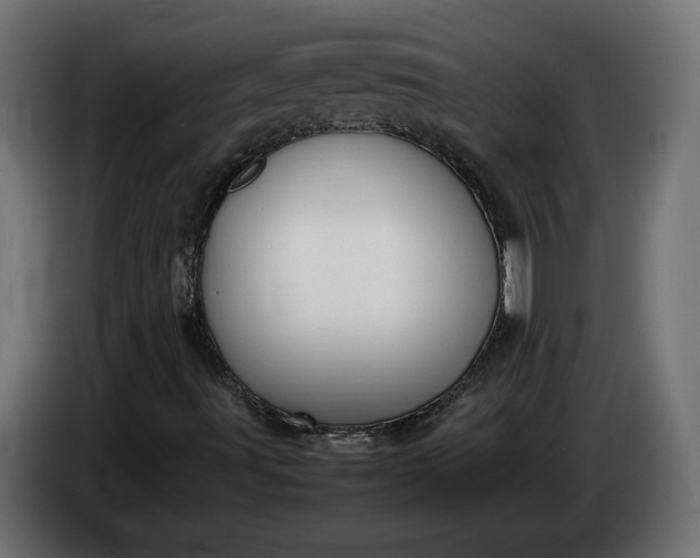 X0000086311491200704131620