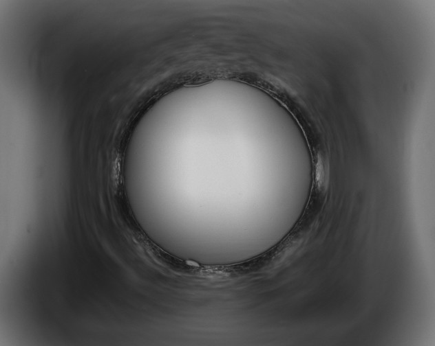 X0000086311492200704131620