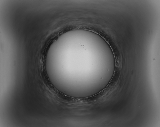 X0000086311493200704131620