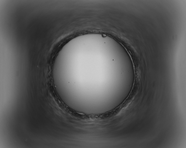 X0000086311494200704131620