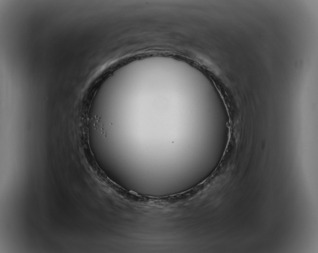 X0000086311496200704131620