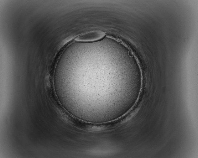 X0000086311497200704131620