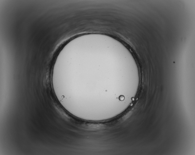 X0000086311498200704131620