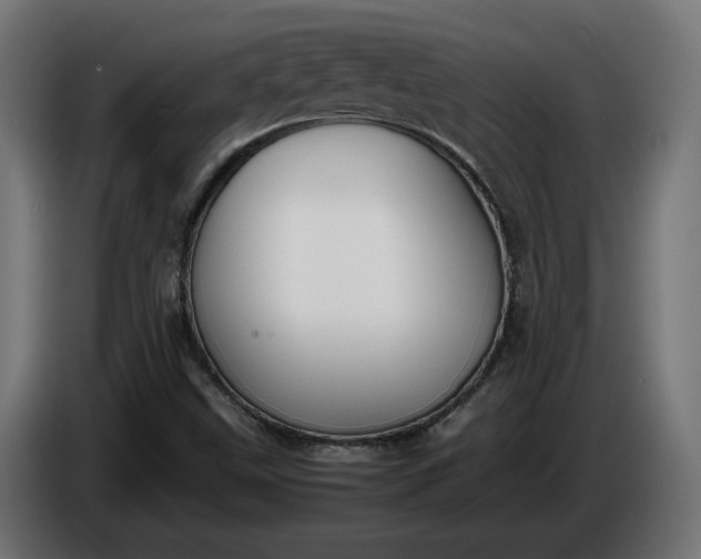 X0000086311499200704131620