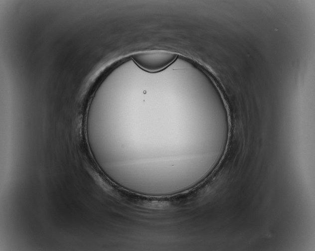 X0000086311503200704131620