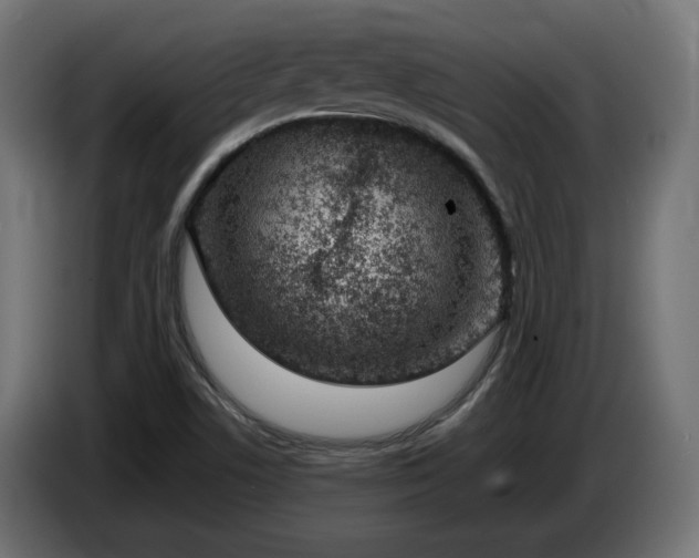 X0000086311506200704131620