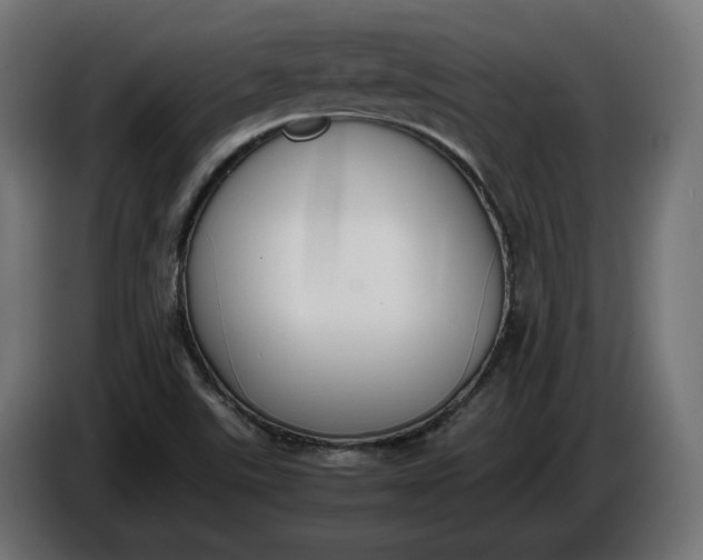 X0000086311507200704131620