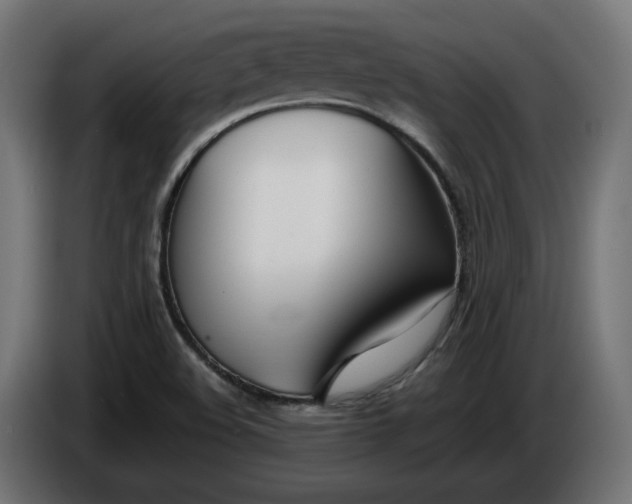 X0000086311508200704131620