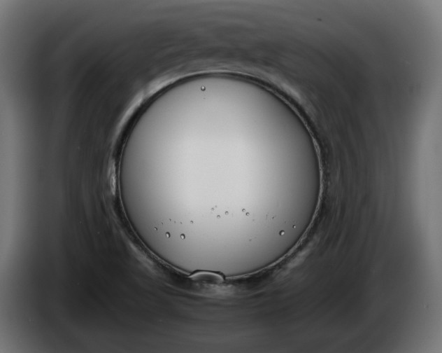X0000086311509200704131620