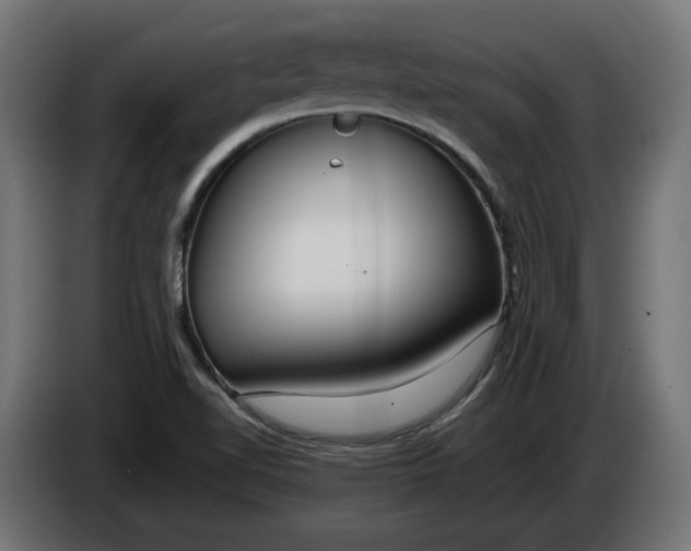 X0000086311510200704131620