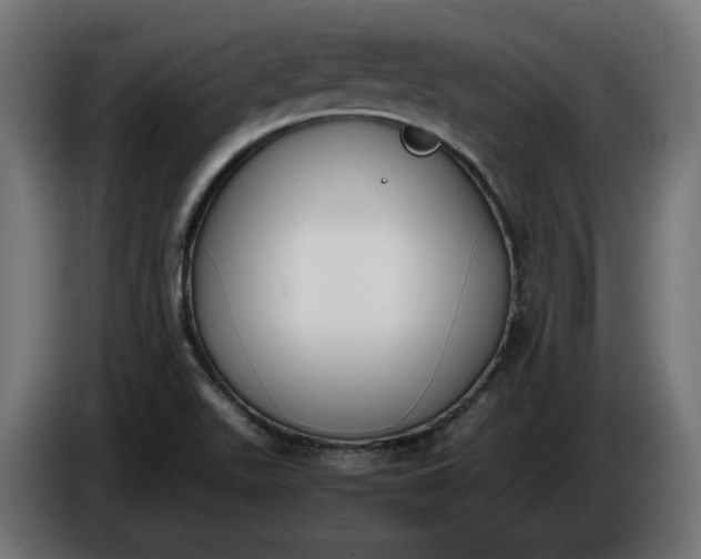 X0000086311511200704131620