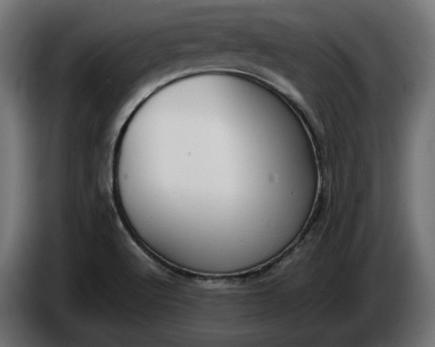 X0000086311512200704131620