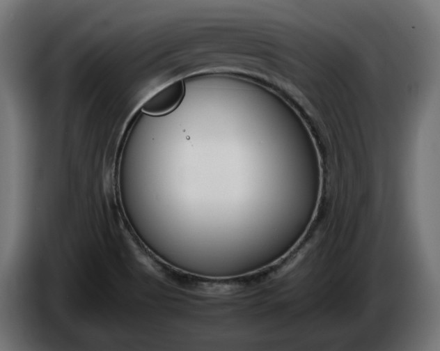 X0000086311513200704131620