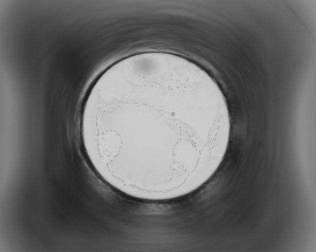 X0000086311514200704131620
