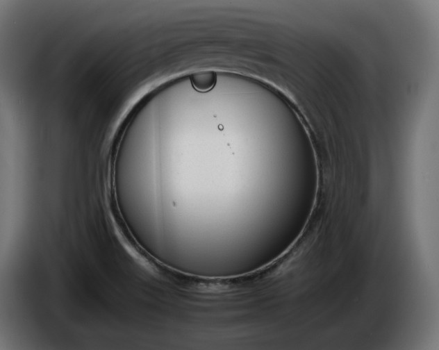 X0000086311515200704131620