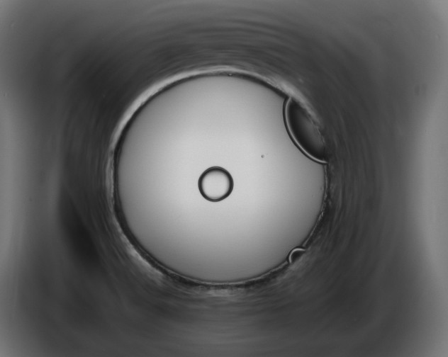 X0000086311516200704131620