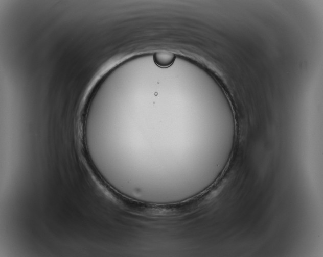 X0000086311517200704131620