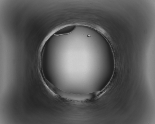 X0000086311520200704131620