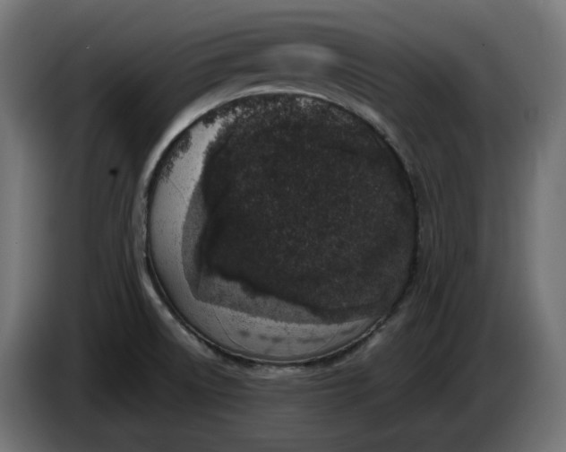 X0000086311522200704131620