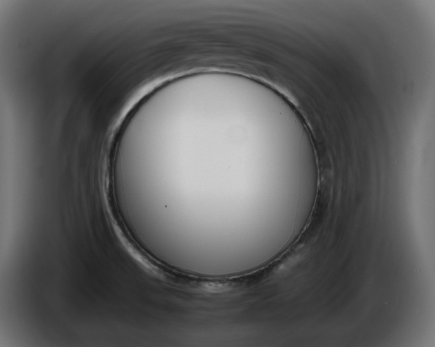 X0000086311523200704131620