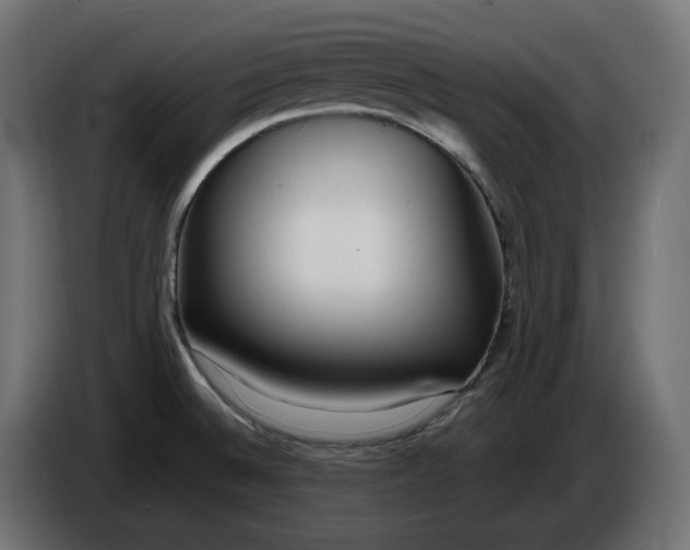 X0000086311524200704131620
