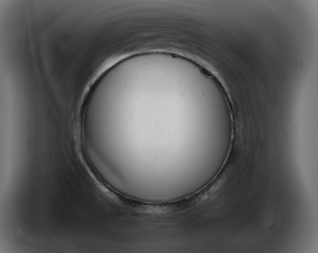 X0000086311525200704131620