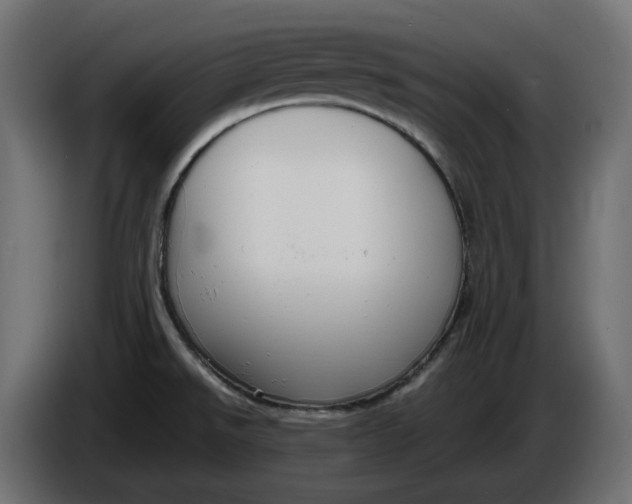 X0000086311526200704131620