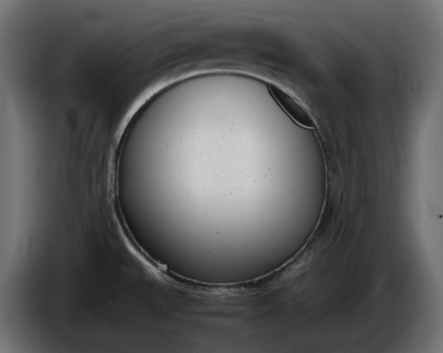 X0000086311527200704131620