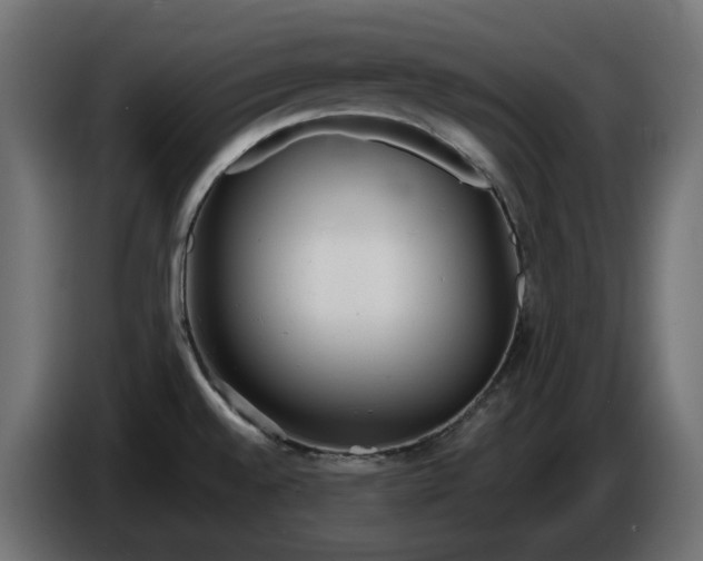 X0000086311528200704131620