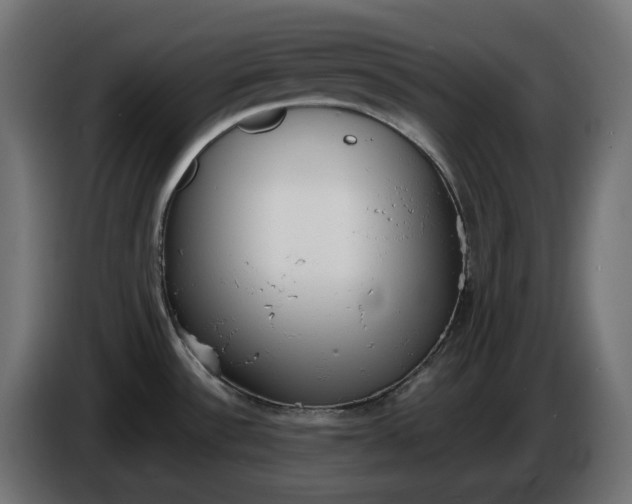 X0000086311532200704131620