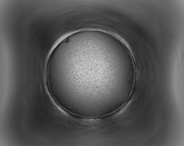 X0000086311533200704131620