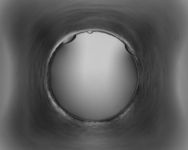 X0000086311534200704131620