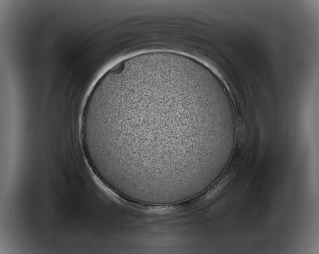 X0000086311535200704131620