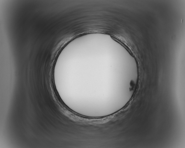 X0000086310001200704202011