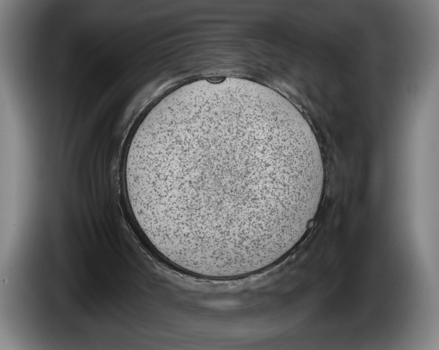 X0000086310002200704202011