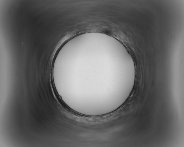 X0000086310003200704202011