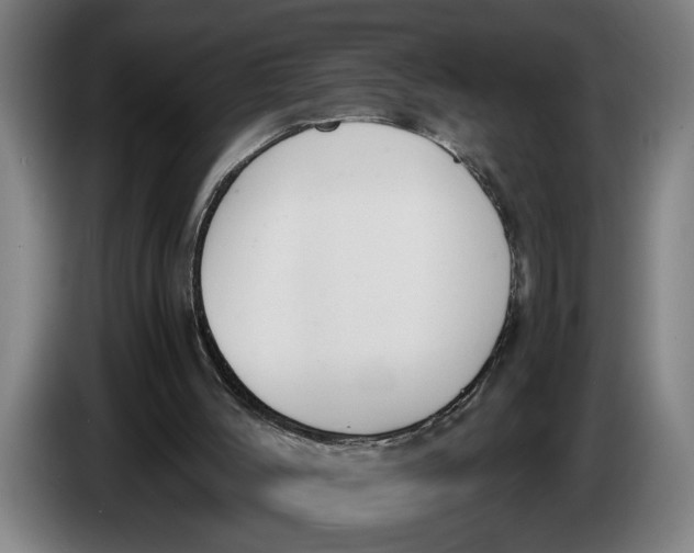 X0000086310004200704202011