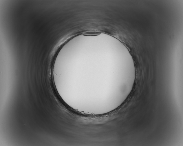 X0000086310005200704202011