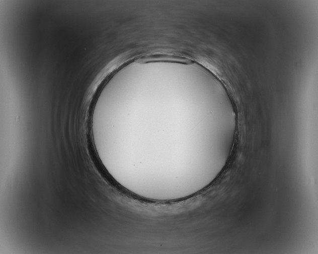 X0000086310007200704202011