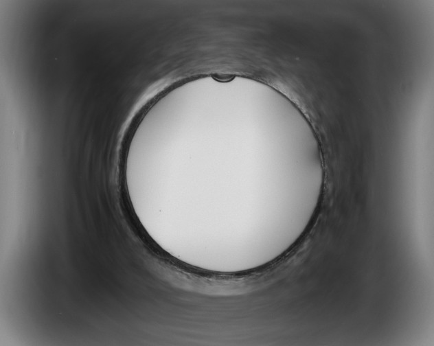 X0000086310008200704202011