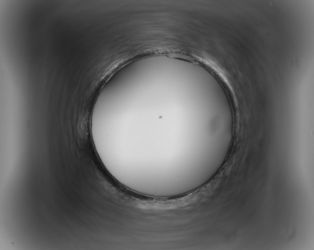 X0000086310009200704202011