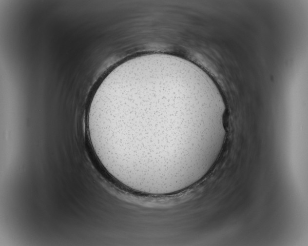 X0000086310011200704202011