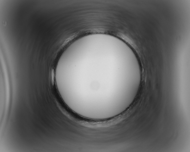 X0000086310013200704202011