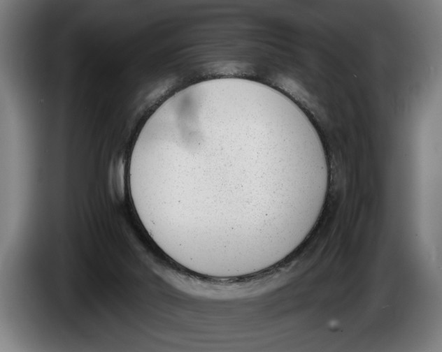 X0000086310014200704202011