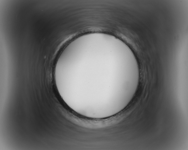 X0000086310015200704202011