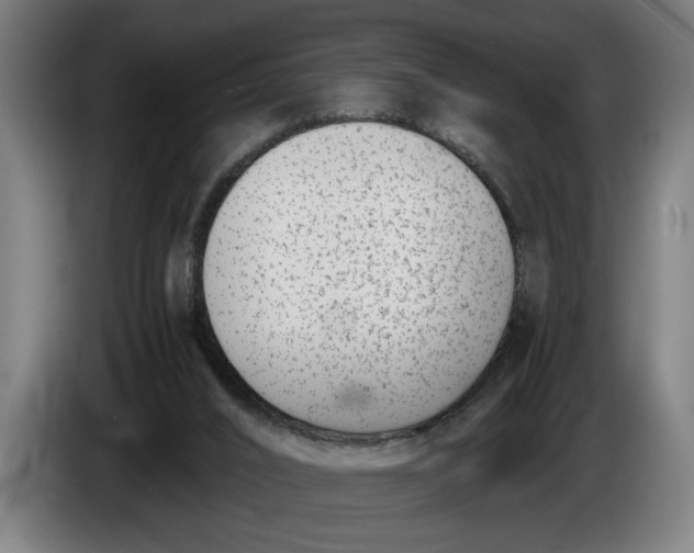 X0000086310016200704202011